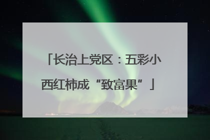 长治上党区：五彩小西红柿成“致富果”