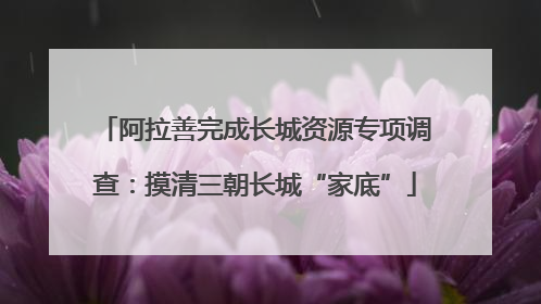 阿拉善完成长城资源专项调查：摸清三朝长城“家底”