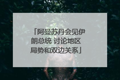 阿曼苏丹会见伊朗总统 讨论地区局势和双边关系