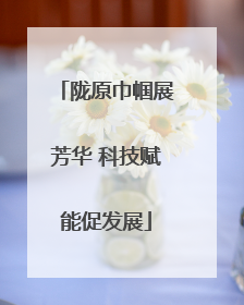 陇原巾帼展芳华 科技赋能促发展