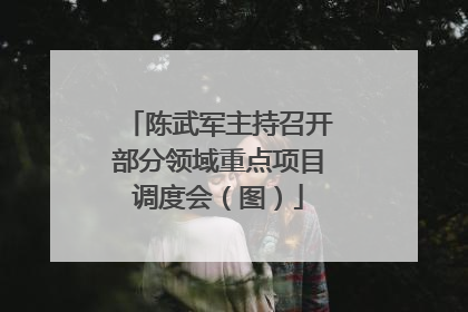 陈武军主持召开部分领域重点项目调度会（图）