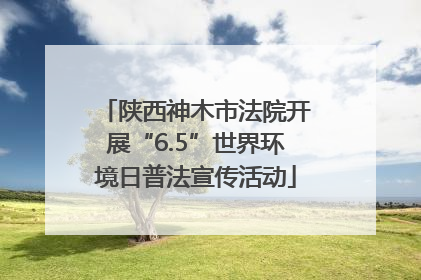 陕西神木市法院开展“6.5”世界环境日普法宣传活动