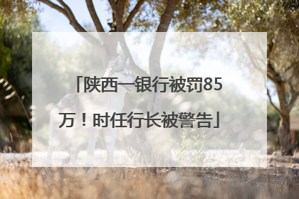 陕西一银行被罚85万！时任行长被警告