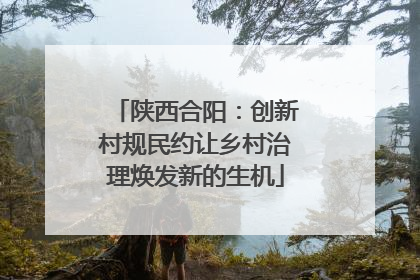 陕西合阳：创新村规民约让乡村治理焕发新的生机