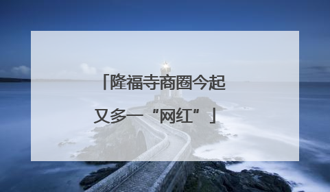 隆福寺商圈今起又多一“网红”