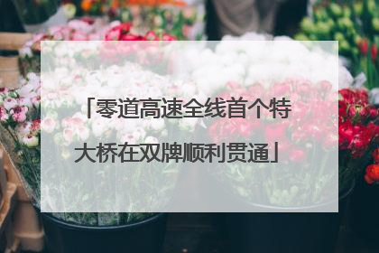 零道高速全线首个特大桥在双牌顺利贯通