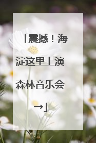 震撼！海淀这里上演森林音乐会→