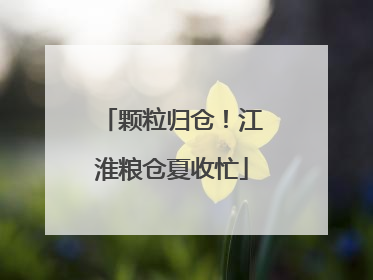 颗粒归仓！江淮粮仓夏收忙