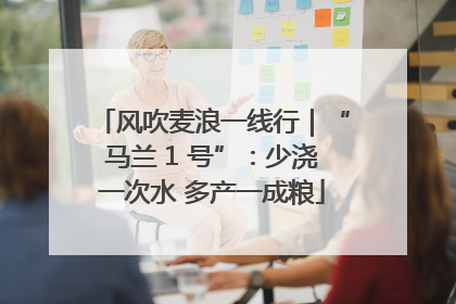 风吹麦浪一线行｜“马兰 1 号”：少浇一次水 多产一成粮