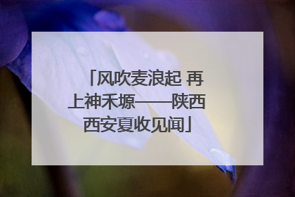 风吹麦浪起 再上神禾塬——陕西西安夏收见闻