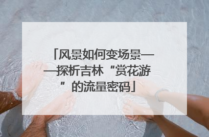 风景如何变场景——探析吉林“赏花游”的流量密码