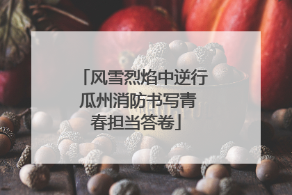 风雪烈焰中逆行 瓜州消防书写青春担当答卷
