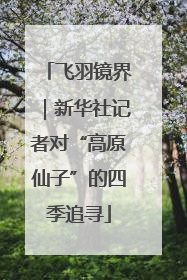 飞羽镜界｜新华社记者对“高原仙子”的四季追寻