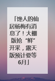 馋人的仙居杨梅有消息了！大棚版抢“鲜”开采，露天版预计要等6月