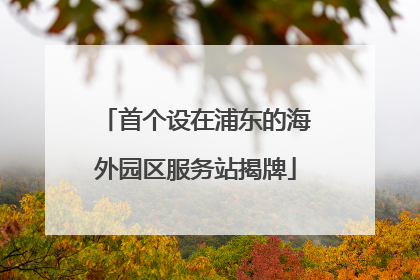 首个设在浦东的海外园区服务站揭牌