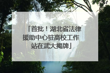 首批！湖北省法律援助中心驻高校工作站在武大揭牌