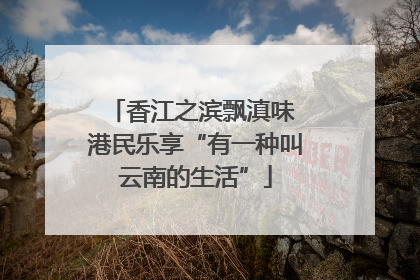 香江之滨飘滇味 港民乐享“有一种叫云南的生活”
