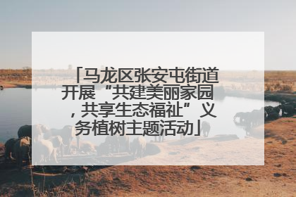 马龙区张安屯街道开展“共建美丽家园，共享生态福祉”义务植树主题活动