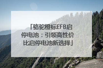 骆驼橙标EFB启停电池：引领高性价比启停电池新选择