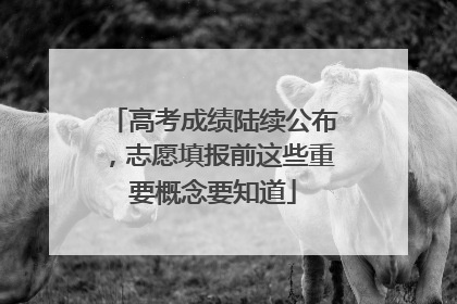 高考成绩陆续公布，志愿填报前这些重要概念要知道