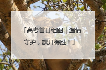 高考首日组图｜温情守护，旗开得胜！