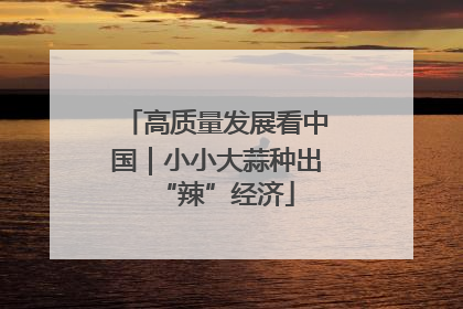 高质量发展看中国｜小小大蒜种出“辣”经济
