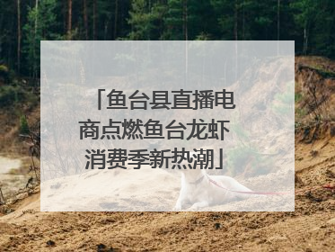 鱼台县直播电商点燃鱼台龙虾消费季新热潮