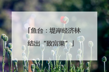 鱼台：堤岸经济林结出“致富果”