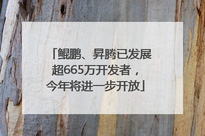 鲲鹏、昇腾已发展超665万开发者，今年将进一步开放