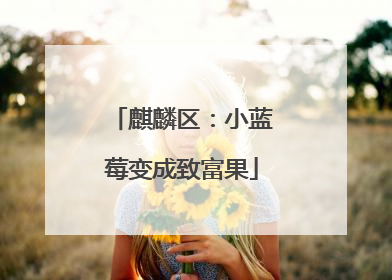 麒麟区：小蓝莓变成致富果