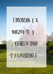 黄双燕（1982年生），任职不到8个月再提拔