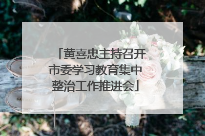 黄喜忠主持召开市委学习教育集中整治工作推进会
