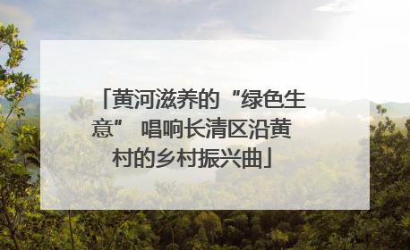 黄河滋养的“绿色生意” 唱响长清区沿黄村的乡村振兴曲