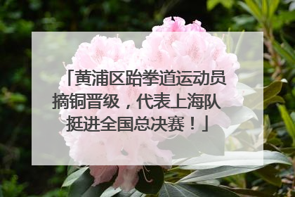 黄浦区跆拳道运动员摘铜晋级，代表上海队挺进全国总决赛！
