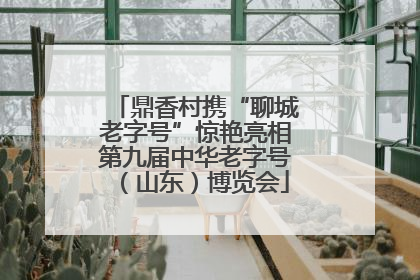 鼎香村携“聊城老字号”惊艳亮相第九届中华老字号（山东）博览会