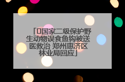 ﻿国家二级保护野生动物误食鱼钩被送医救治 郑州惠济区林业局回应