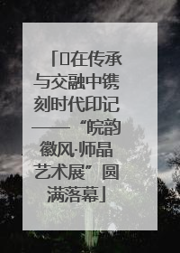 ﻿在传承与交融中镌刻时代印记——“皖韵徽风·师晶艺术展”圆满落幕