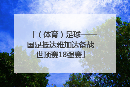 （体育）足球——国足抵达雅加达备战世预赛18强赛