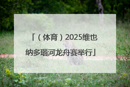 （体育）2025维也纳多瑙河龙舟赛举行