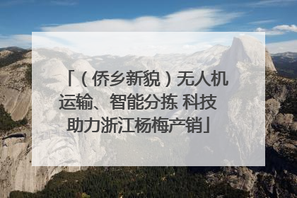 （侨乡新貌）无人机运输、智能分拣 科技助力浙江杨梅产销