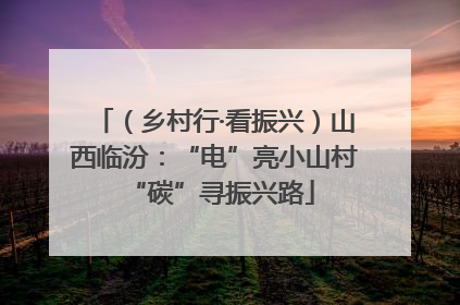 （乡村行·看振兴）山西临汾：“电”亮小山村 “碳”寻振兴路