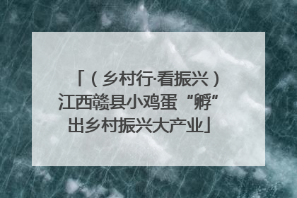 （乡村行·看振兴）江西赣县小鸡蛋“孵”出乡村振兴大产业