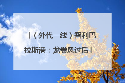 （外代一线）智利巴拉斯港：龙卷风过后