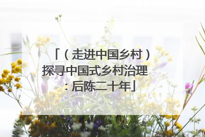 （走进中国乡村）探寻中国式乡村治理：后陈二十年