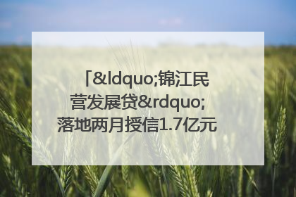 “锦江民营发展贷”落地两月授信1.7亿元，惠及118家民企
