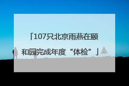 107只北京雨燕在颐和园完成年度“体检”