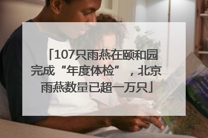 107只雨燕在颐和园完成“年度体检”，北京雨燕数量已超一万只