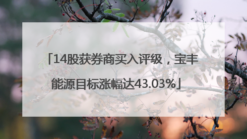 14股获券商买入评级，宝丰能源目标涨幅达43.03%