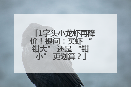 1字头小龙虾再降价！提问：买虾 “钳大” 还是 “钳小” 更划算？