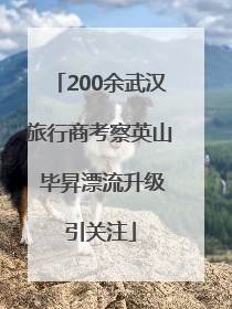 200余武汉旅行商考察英山 毕昇漂流升级引关注